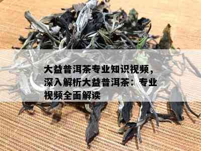 大益普洱茶专业知识视频，深入解析大益普洱茶：专业视频全面解读