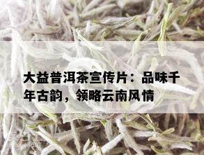 大益普洱茶宣传片：品味千年古韵，领略云南风情