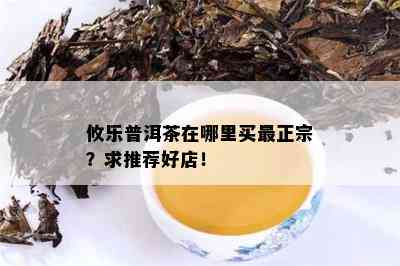 攸乐普洱茶在哪里买最正宗？求推荐好店！