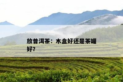 放普洱茶：木盒好还是茶罐好？