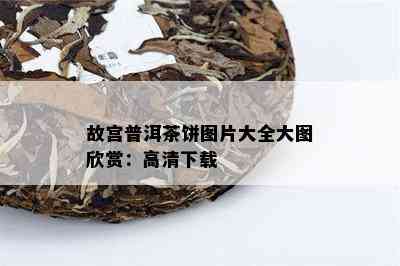 故宫普洱茶饼图片大全大图欣赏：高清下载