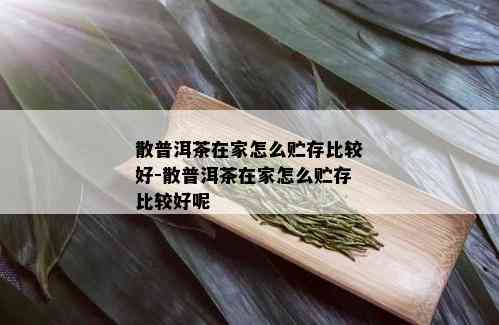 散普洱茶在家怎么贮存比较好-散普洱茶在家怎么贮存比较好呢