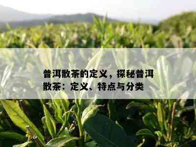 普洱散茶的定义，探秘普洱散茶：定义、特点与分类