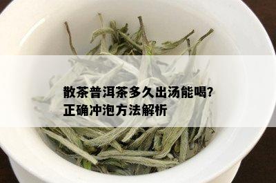 散茶普洱茶多久出汤能喝？正确冲泡方法解析