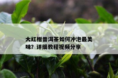 大红柑普洱茶如何冲泡最美味？详细教程视频分享