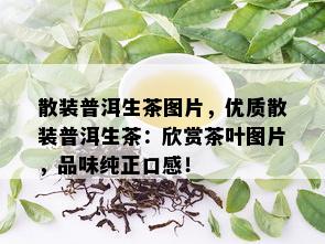 散装普洱生茶图片，优质散装普洱生茶：欣赏茶叶图片，品味纯正口感！