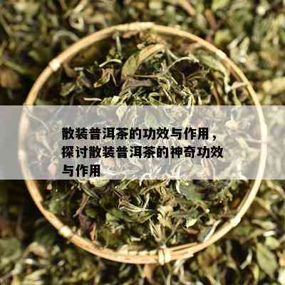 散装普洱茶的功效与作用，探讨散装普洱茶的神奇功效与作用