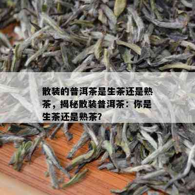 散装的普洱茶是生茶还是熟茶，揭秘散装普洱茶：你是生茶还是熟茶？