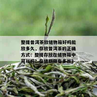 整提普洱茶放储物箱好吗能放多久，存放普洱茶的正确方式：整提存放在储物箱中可以吗？存储期限有多长？