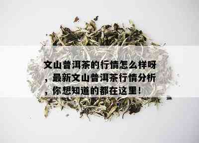 文山普洱茶的行情怎么样呀，最新文山普洱茶行情分析，你想知道的都在这里！