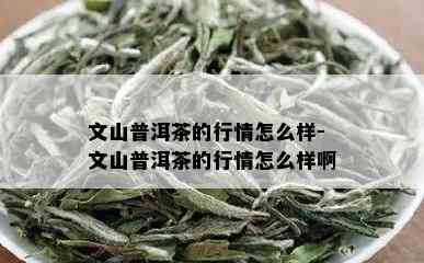 文山普洱茶的行情怎么样-文山普洱茶的行情怎么样啊