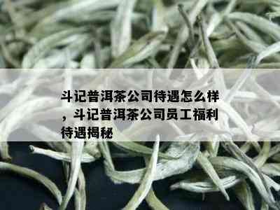 斗记普洱茶公司待遇怎么样，斗记普洱茶公司员工福利待遇揭秘