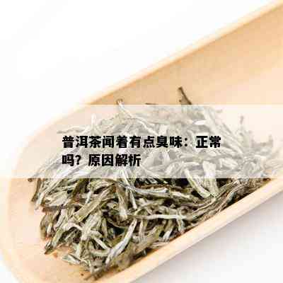 普洱茶闻着有点臭味：正常吗？原因解析