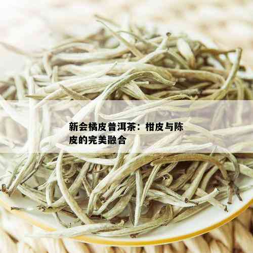 新会橘皮普洱茶：柑皮与陈皮的完美融合