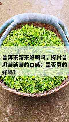 普洱茶新茶好喝吗，探讨普洱茶新茶的口感：是否真的好喝？