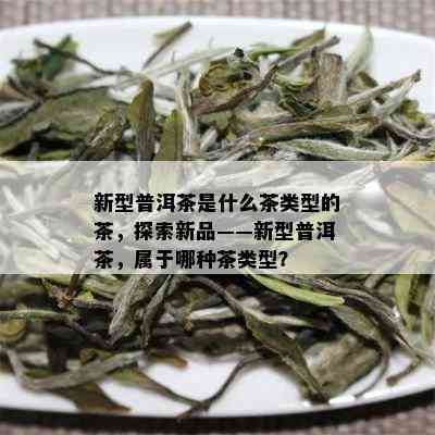 新型普洱茶是什么茶类型的茶，探索新品——新型普洱茶，属于哪种茶类型？