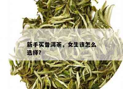 新手买普洱茶，女生该怎么选择？