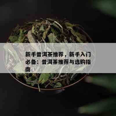 新手普洱茶推荐，新手入门必备：普洱茶推荐与选购指南