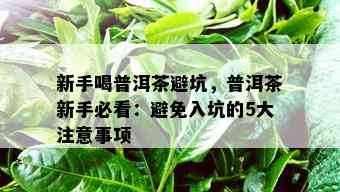 新手喝普洱茶避坑，普洱茶新手必看：避免入坑的5大注意事项