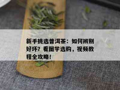 新手挑选普洱茶：如何辨别好坏？看图学选购，视频教程全攻略！