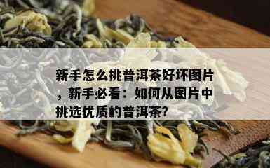 新手怎么挑普洱茶好坏图片，新手必看：如何从图片中挑选优质的普洱茶？