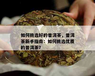 如何挑选好的普洱茶，普洱茶新手指南：如何挑选优质的普洱茶？