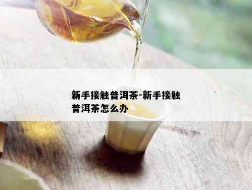 新手接触普洱茶-新手接触普洱茶怎么办