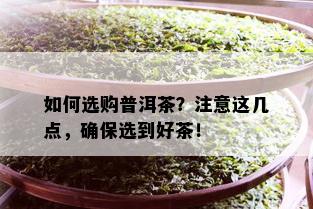 如何选购普洱茶？注意这几点，确保选到好茶！