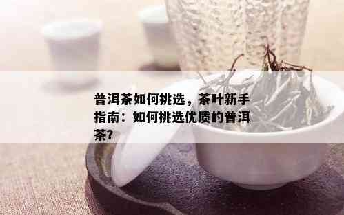 普洱茶如何挑选，茶叶新手指南：如何挑选优质的普洱茶？