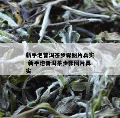 新手泡普洱茶步骤图片真实-新手泡普洱茶步骤图片真实