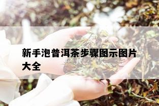 新手泡普洱茶步骤图示图片大全