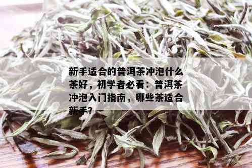 新手适合的普洱茶冲泡什么茶好，初学者必看：普洱茶冲泡入门指南，哪些茶适合新手？