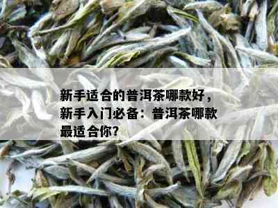 新手适合的普洱茶哪款好，新手入门必备：普洱茶哪款最适合你？