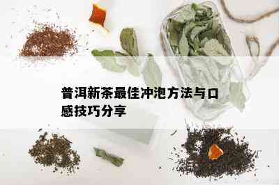 普洱新茶更佳冲泡方法与口感技巧分享