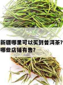 新疆哪里可以买到普洱茶？哪些店铺有售？