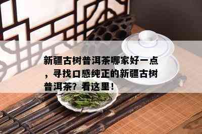 新疆古树普洱茶哪家好一点，寻找口感纯正的新疆古树普洱茶？看这里！