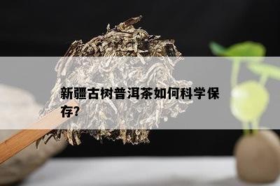 新疆古树普洱茶如何科学保存？