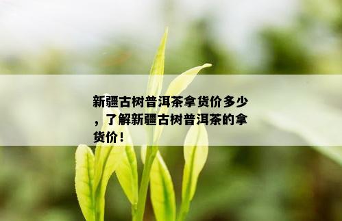 新疆古树普洱茶拿货价多少，了解新疆古树普洱茶的拿货价！