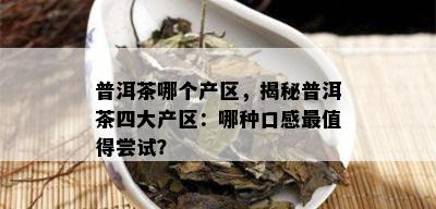 普洱茶哪个产区，揭秘普洱茶四大产区：哪种口感最值得尝试？