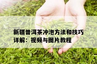 新疆普洱茶冲泡方法和技巧详解：视频与图片教程