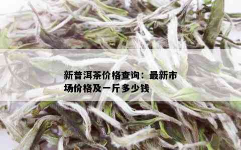 新普洱茶价格查询：最新市场价格及一斤多少钱