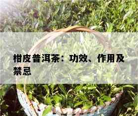 柑皮普洱茶：功效、作用及禁忌