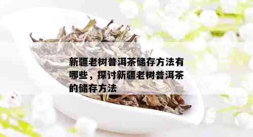 新疆老树普洱茶储存方法有哪些，探讨新疆老树普洱茶的储存方法