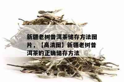 新疆老树普洱茶储存方法图片，【高清图】新疆老树普洱茶的正确储存方法