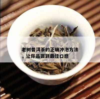 老树普洱茶的正确冲泡方法，让你品尝到更佳口感