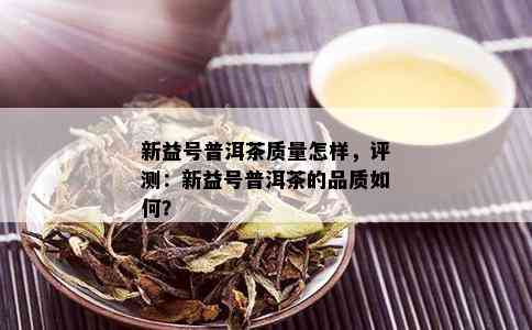 新益号普洱茶质量怎样，评测：新益号普洱茶的品质如何？