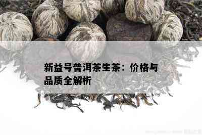 新益号普洱茶生茶：价格与品质全解析