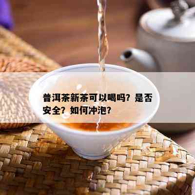 普洱茶新茶可以喝吗？是否安全？如何冲泡？