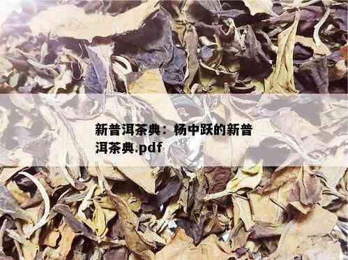 新普洱茶典：杨中跃的新普洱茶典.pdf