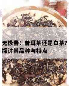 无极春：普洱茶还是白茶？探讨其品种与特点